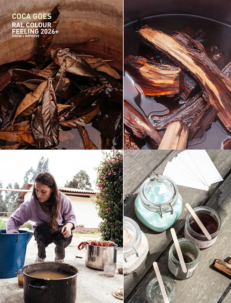 劳尔色彩趋势体验